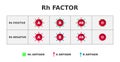 Rh factor blood group system. Rh positive on Rh negative. Rhesus D antigen on the surface of red blood cells.