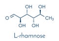 Rhamnose L-rhamnose deoxy sugar molecule. Used in cosmetics to treat wrinkles. Skeletal formula. Royalty Free Stock Photo