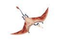 Rhamphorhynchus, flying pterosaur. Long-tailed winged dinosaur. Ancient prehistoric extinct dino of prehistory Jurassic