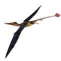 Rhamphorhynchus Pterosaur Tail