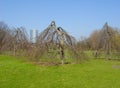 Rheinaue park in Bonn, Germany