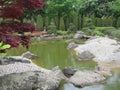 Rheinaue Park. The flow of the brook into the pond 6129