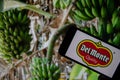 Rheinbach, Germany 1 October 2021, The `Del Monte` brand logo on the display of a smartphone in front of a banana plantation