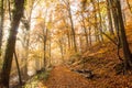 Rheinsteig Hiking trail Autumn colors Siebengebirge Germany Royalty Free Stock Photo