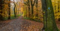 Rheinsteig Hiking trail Autumn colors Siebengebirge Germany Royalty Free Stock Photo