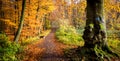 Rheinsteig Hiking trail Autumn colors Siebengebirge Germany Royalty Free Stock Photo