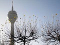 Rheinturm Tower Dusseldorf