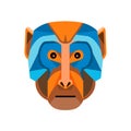 Rhesus Macaque Head Flat Icon