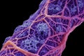 Rheumatoid Arthritis under microscope view generative AI