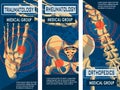 Rheumatology, Orthopedics and Traumatology Banner.