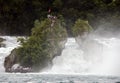 Rhine falls Royalty Free Stock Photo