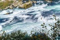 The Rhine Falls near Zurich at Indian summer, waterfall in Switz Royalty Free Stock Photo