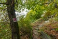 Rhine hiking trali Traumschleife Rheingold pathway Landscape