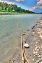 Rhine River banks with rocky beach and driftwood and forest and mountain landscape in the background Royalty Free Stock Photo