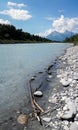 Rhine River banks with rocky beach and driftwood and forest and mountain landscape in the background Royalty Free Stock Photo