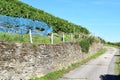 Rhine valley vineyards Royalty Free Stock Photo