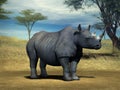 Rhino