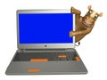 Rhino cartoon character with laptop