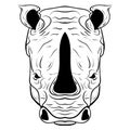 Rhino Doodle Sketch Vector Illustration