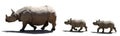 Rhino family isolated Royalty Free Stock Photo