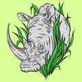 Rhino head portrait, rhinoceros