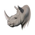 Rhino head portrait, rhinoceros, color drawing, realistic