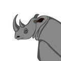 Rhino head, vector illustration, flat style, Royalty Free Stock Photo