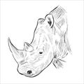 Rhino head