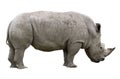 Rhino Object