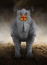 Rhino, Rhinoceros , Monarch Butterfly, Desolate Desert