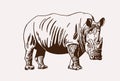 Graphical vintage rhino ,sepia background, vector illustration