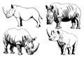 Graphical hand-drawn set of rhinos isolated on white,vector illustration Royalty Free Stock Photo