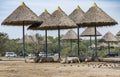 Rhino sleeping lazily Royalty Free Stock Photo