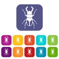 Rhinoceros beetle icons set