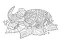 Rhinoceros beetle insect coloring book vector