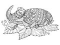 Rhinoceros beetle insect coloring book vector