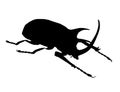 Rhinoceros beetle silhouette isolated on white background. Vector illustration Royalty Free Stock Photo