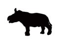 Rhinoceros cub vector silhouette illustration isolated on white background. Royalty Free Stock Photo