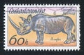 Rhinoceros Royalty Free Stock Photo