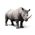 Rhinoceros isolated on a white background. Royalty Free Stock Photo