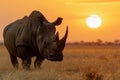 A rhinoceros, a large herbivorous mammal, standing in a field during the golden hour of sunset, An impressive rhino, stark against Royalty Free Stock Photo