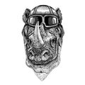 Animal wearing aviator helmet with glasses. Vector picture. Rhinoceros, rhino Hand drawn illustration for tattoo, emblem