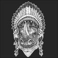 Rhinoceros, rhino portrait. Head of wild animal. Indian tribal traditional headdress with feathers.