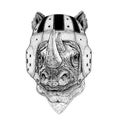 Rhinoceros, rhino Wild animal wearing rugby helmet Sport illustration