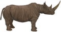 Rhinoceros, Rhino, Wildlife, Isolated, Illustration