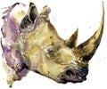 Rhinoceros. Rhinoceros watercolor. African animal hand drawn illustration. Rhinoceros watercolor background.