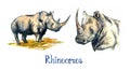 Rhinoceros set, standing side view and portrait, handpainted watercolor illustration isolated on white