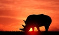 Rhinoceros Silhouette in Sunset Sky. Rhino Endangered African Animal