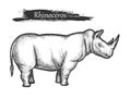 Rhinoceros sketch, African jungle, zoo wild animal