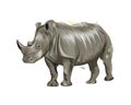 Rhinoceros from a splash of watercolor, colored drawing, realistic Royalty Free Stock Photo